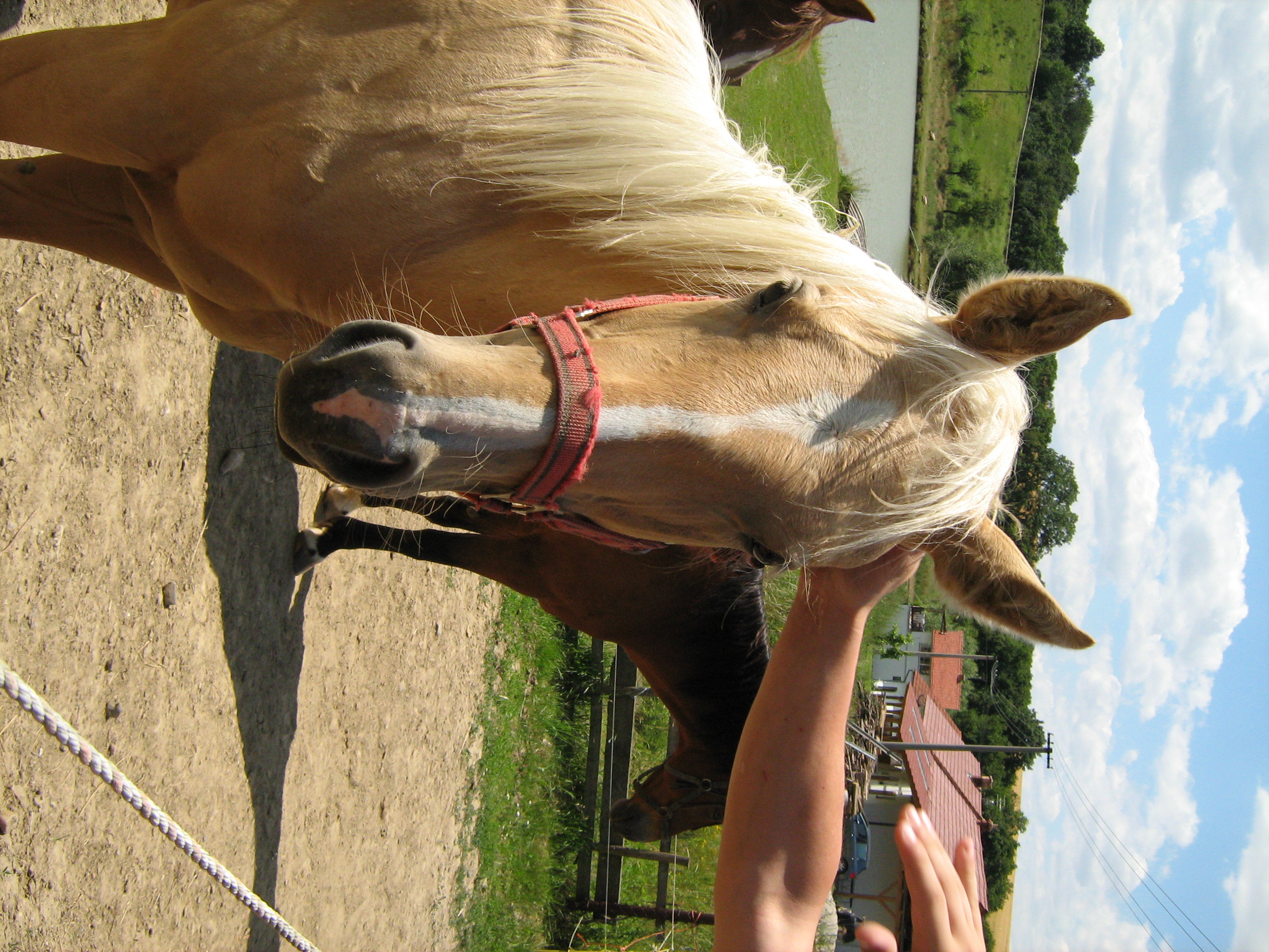 Snímek 010.jpg